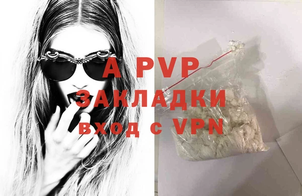 крисы Алзамай