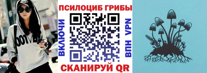 Псилоцибиновые грибы прущие грибы  Венёв 